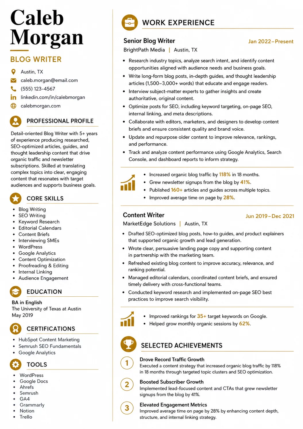 Blog Writer resume example preview