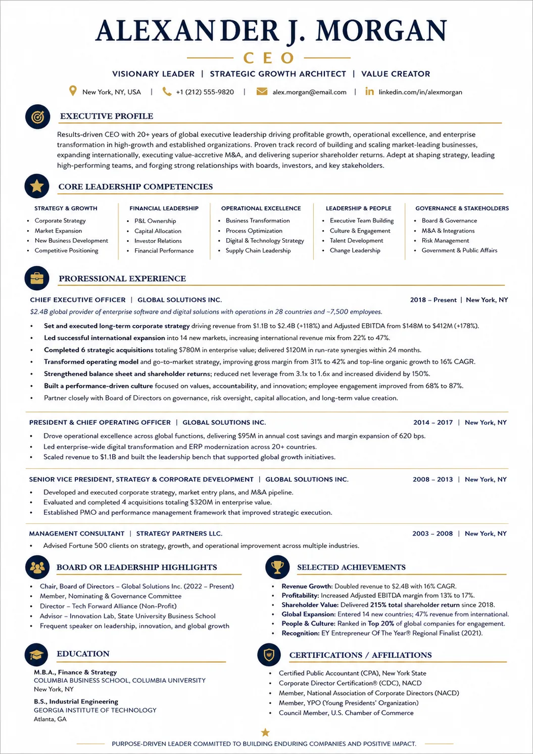 CEO resume example preview