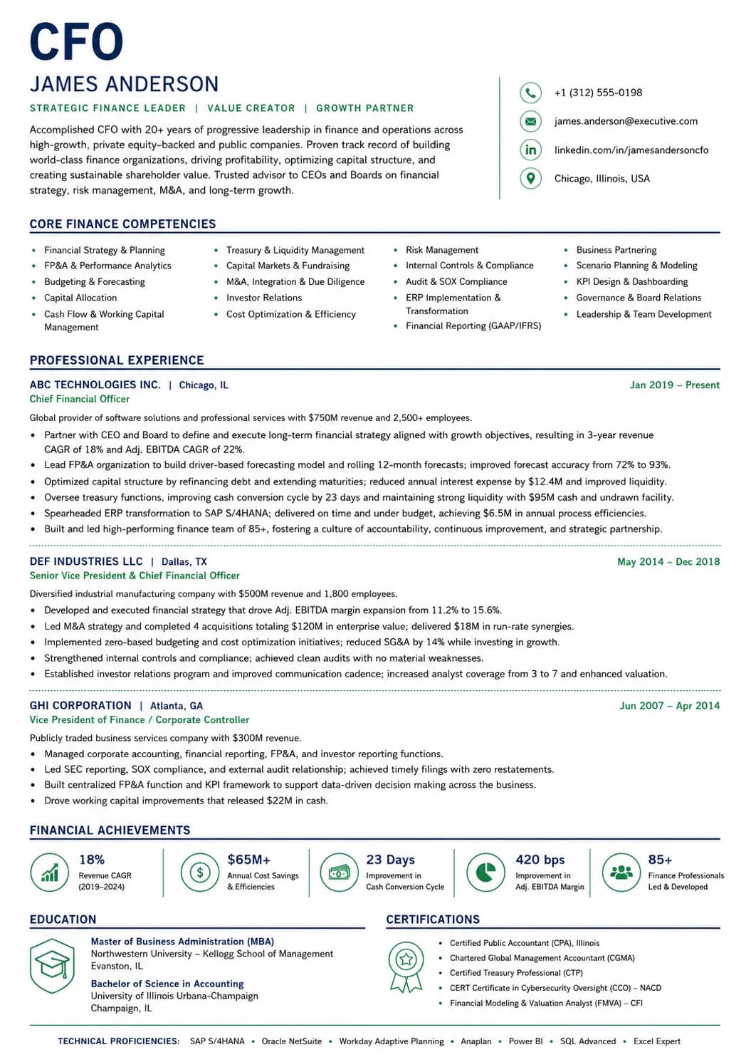 CFO resume example preview