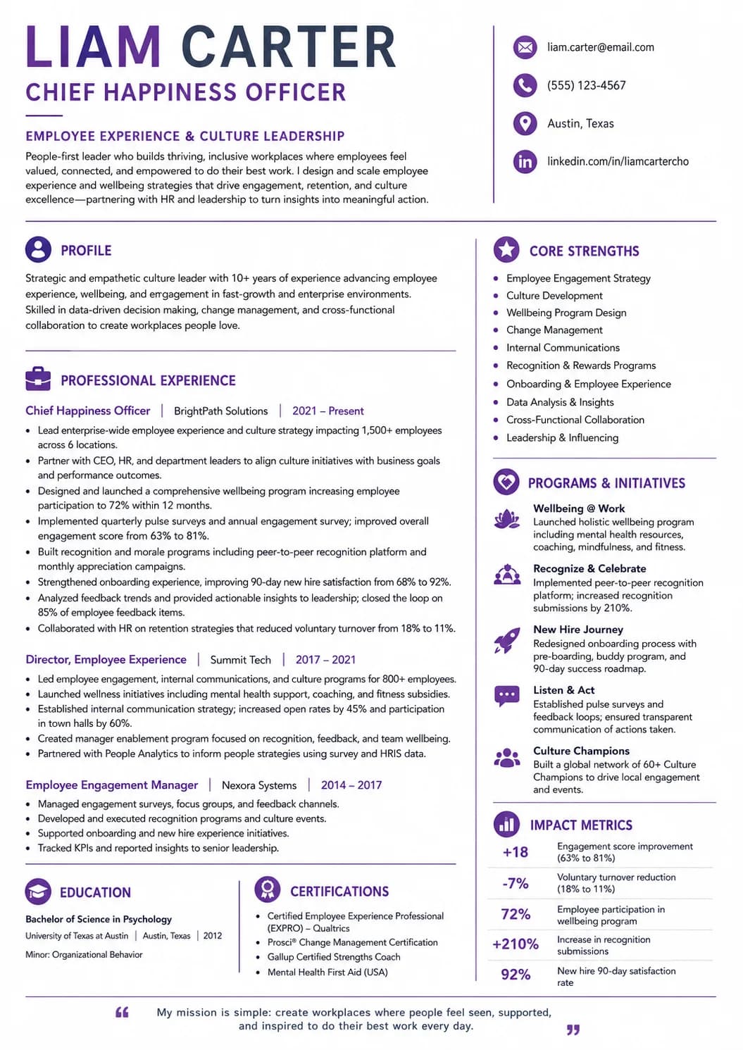 Chief Happiness Officer (CHO) resume example image