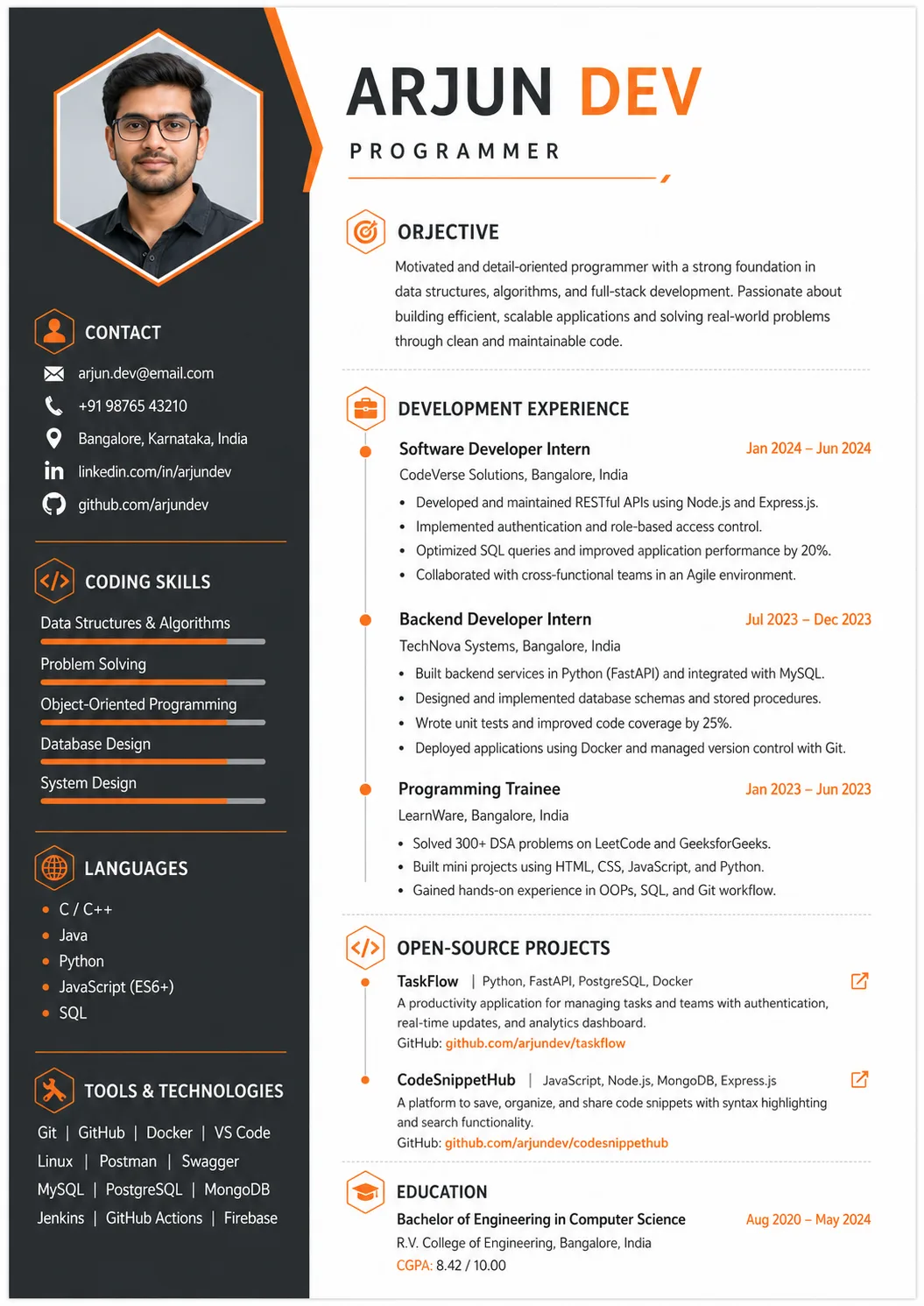 Programmer resume preview